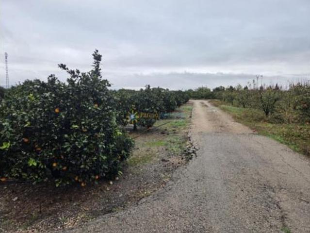Terreno en venta en Senyera, València / Valencia