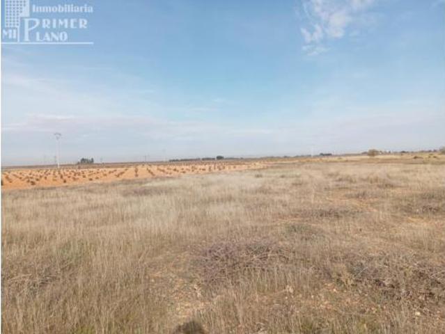 Terreno en venta en Socuéllamos, Ciudad Real