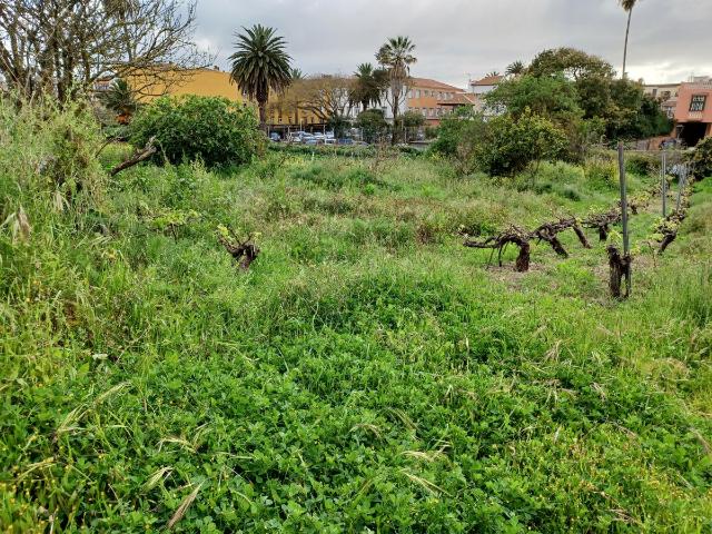 Terreno en venta en La Manzanilla, San Cristóbal de La Laguna