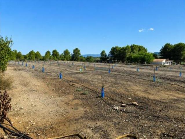 Terreno en venta en Sumacàrcer, València / Valencia