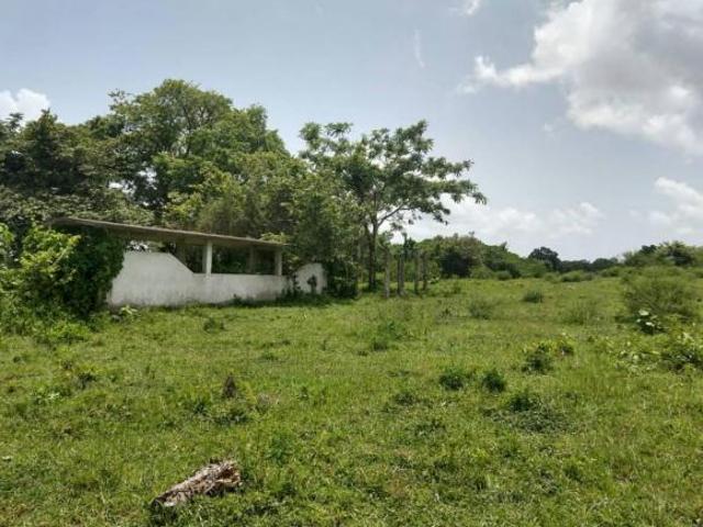 TERRENO VENTA TAMIAHUA VERACRUZ