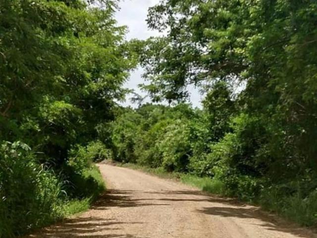 TERRENO VENTA TAMIAHUA VERACRUZ