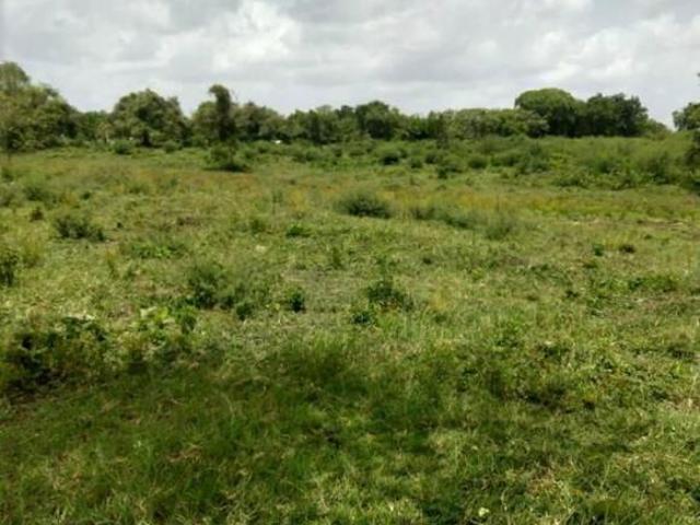 TERRENO VENTA TAMIAHUA VERACRUZ