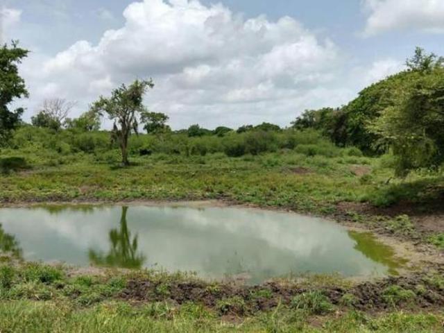 TERRENO VENTA TAMIAHUA VERACRUZ