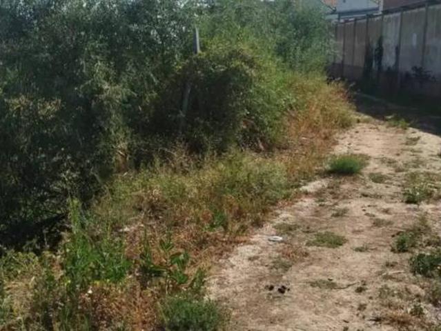 Terreno en venta en El Cinto, Tarazona