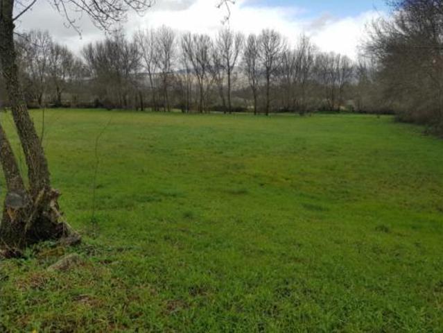 Terreno en venta en Tejeda de Tiétar, Cáceres
