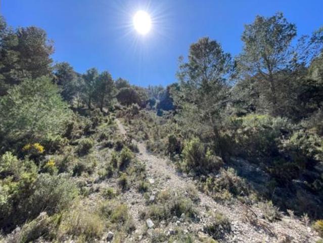 Terreno en venta en Tivissa, Tarragona