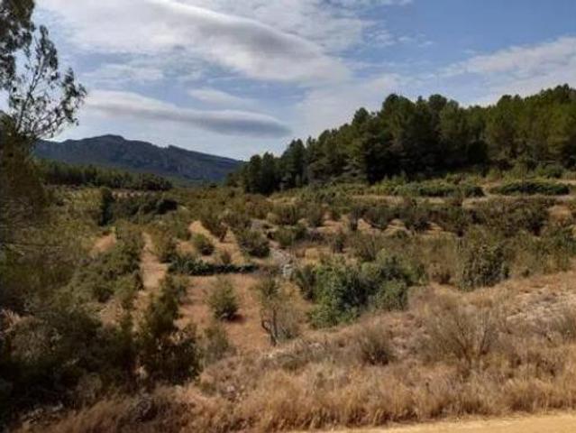 Terreno en venta en Tivissa, Tarragona