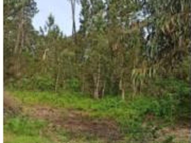 Terreno en venta en Macendo, Toén