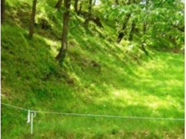 Terreno en venta en Fontordera, Tona