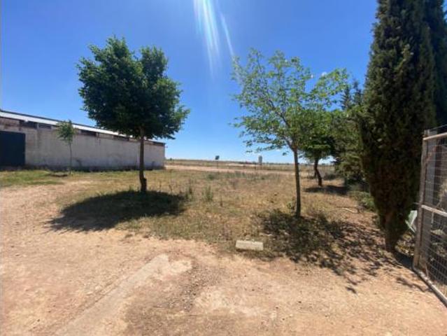 Terreno en venta en Torralba de Calatrava, Ciudad Real