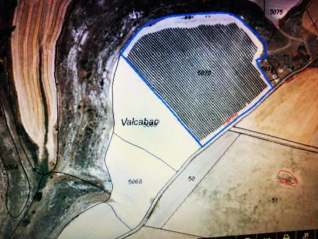 Terreno en venta en Torre de Peñafiel, Valladolid
