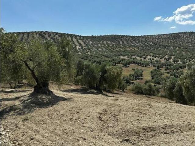 Terreno en venta en Torre del Campo, Jaén