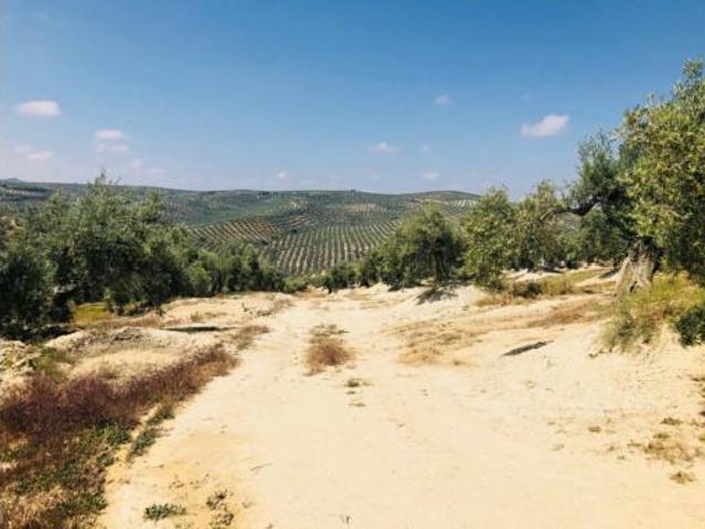 Terreno en venta en Túnel, Torre del Campo