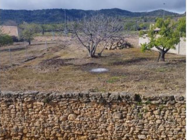 Terreno en venta en Torrevelilla / Torre de Vilella, Teruel