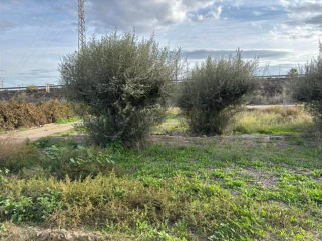 Terreno en venta en Totana