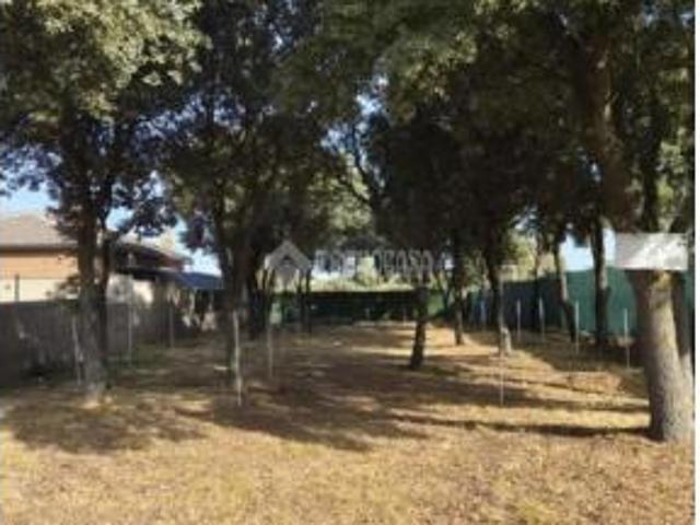 Terreno en venta en La Beltraneja, Trijueque