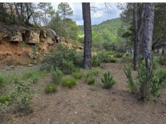 Terreno en venta en Valdenaya, Trillo