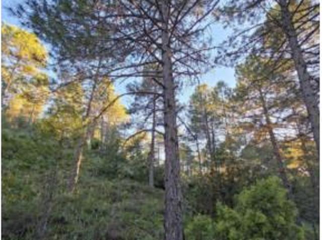 Terreno en venta en Valdenaya, Trillo