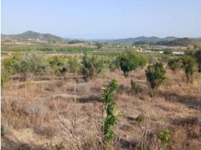 Terreno en venta en Turís, València / Valencia