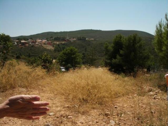 Terreno en venta en Turís, València / Valencia