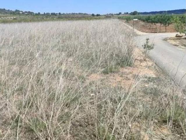 Terreno en venta en Turís, València / Valencia
