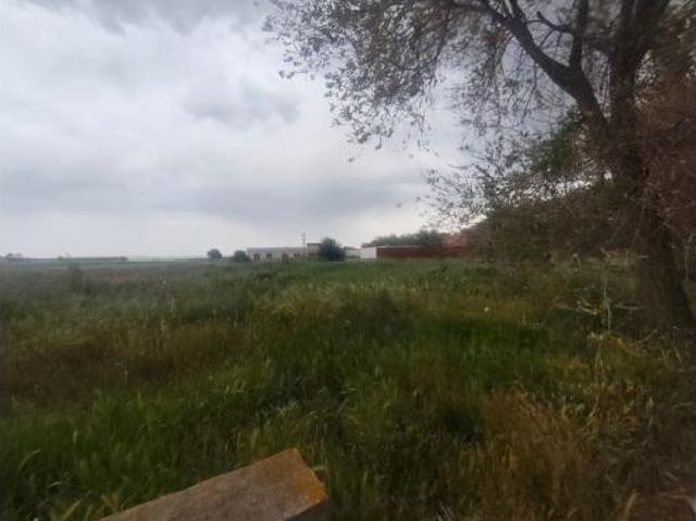 Terreno en venta en Viña Grande, Ugena