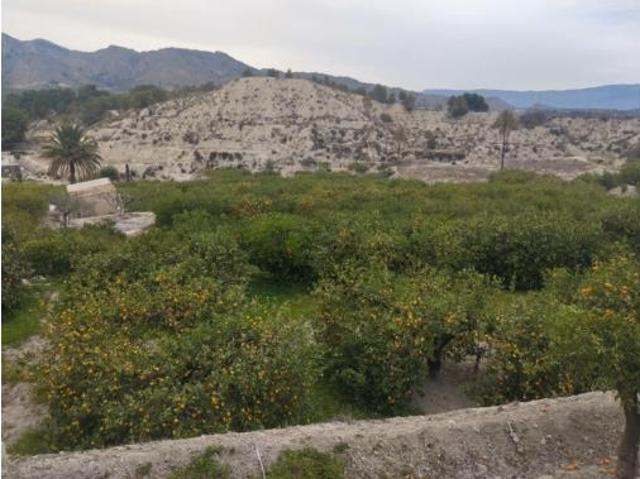 Terreno en venta en Ulea, Región de Murcia