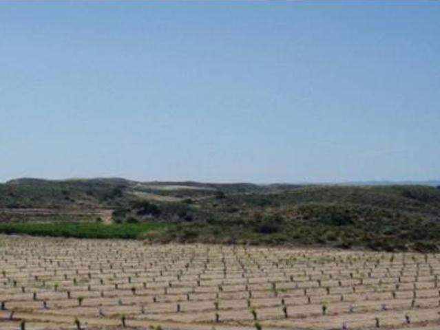Terreno en venta en Los Turpines, Ulea