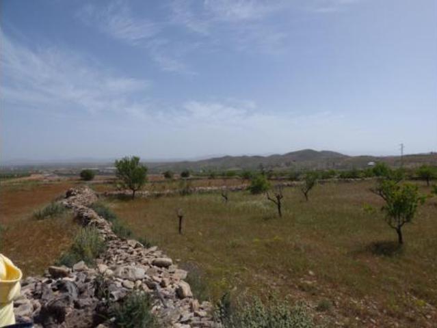 Terreno en venta en La Canal, Uleila del Campo