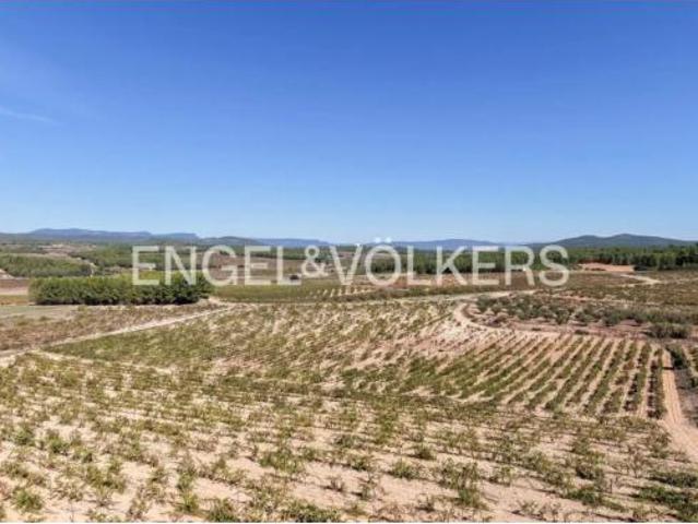 Terreno en venta en Casas de Abajo, Utiel