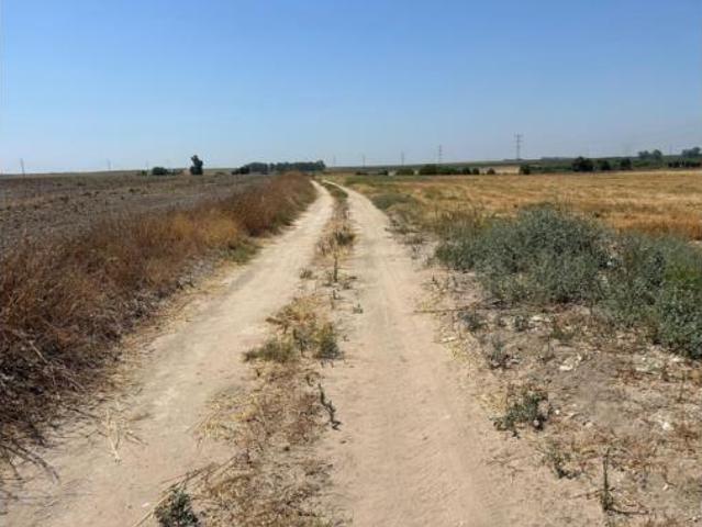 Terreno en venta en Casas Cerros, Utrera