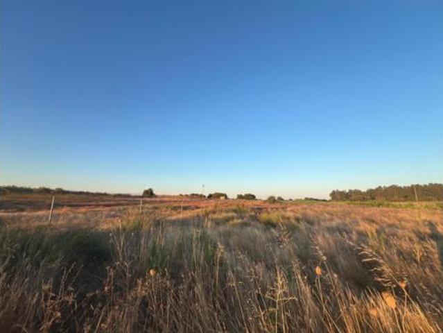 Terreno en venta en Utrera, Sevilla
