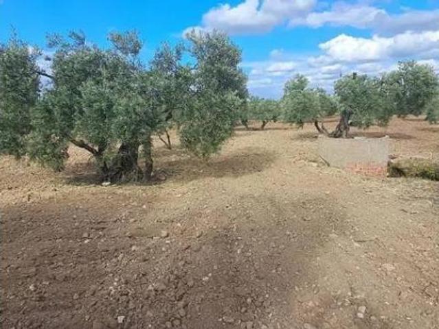 Terreno en venta en Utrera, Sevilla