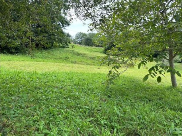 Terreno en venta en Bustriguado, Valdáliga