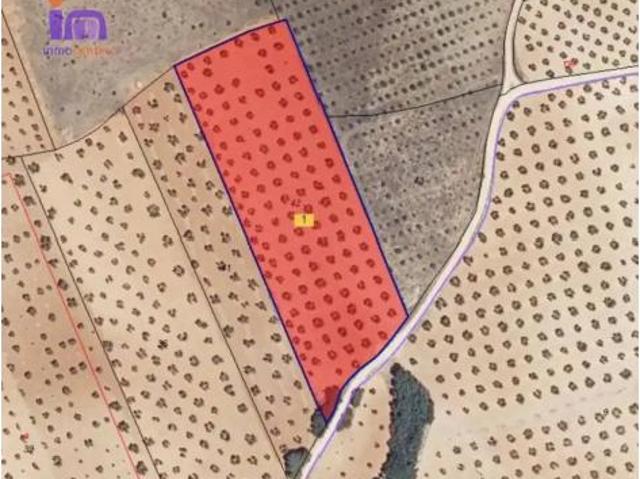 Terreno en venta en Valdepeñas, Ciudad Real