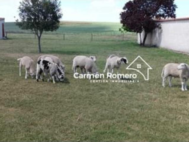 Terreno en venta en Naharros de Valdunciel, Valdunciel
