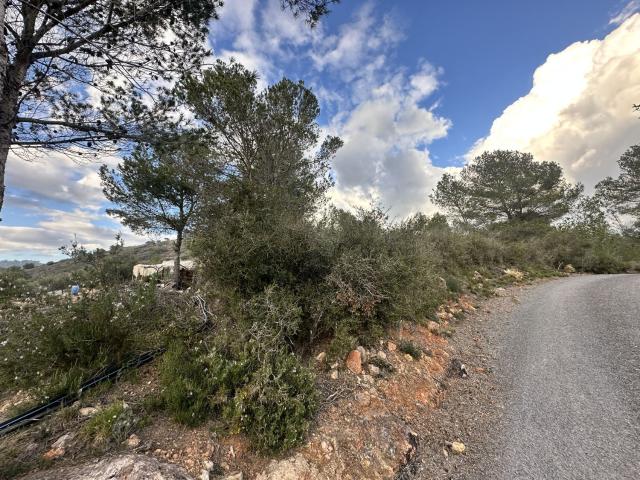 Terreno en venta en la Vila, el Camp de Morvedre