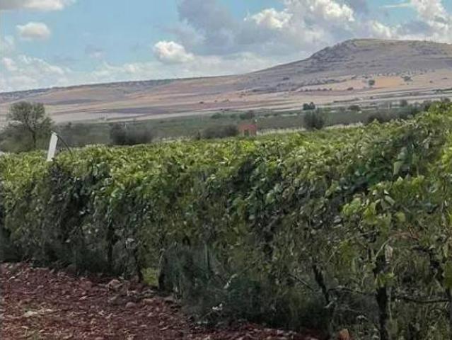 Terreno en venta en Pozuelo de Calatrava, Ciudad Real