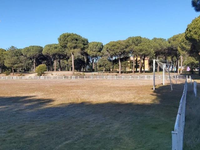 Terreno en venta en Tordesillas, Castilla y León