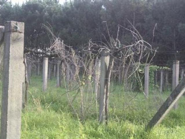 Terreno en venta en Vedra, Avenida do Mestre Manuel Gómez Lorenzo