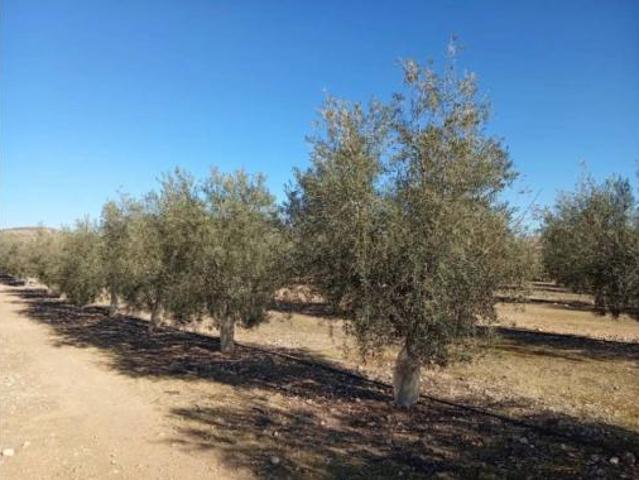Terreno en venta en Ventas de Huelma, Granada