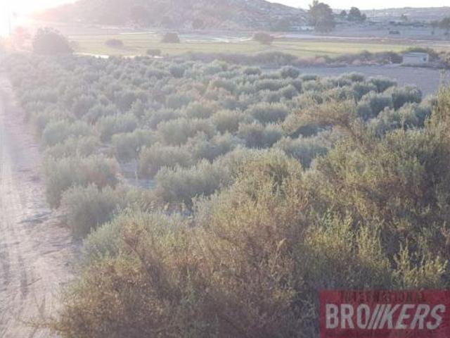 Terreno en venta en Pueblo Salinas, Vera