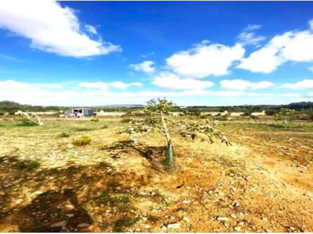 Terreno en venta en Vilafranca de Bonany, Illes Balears