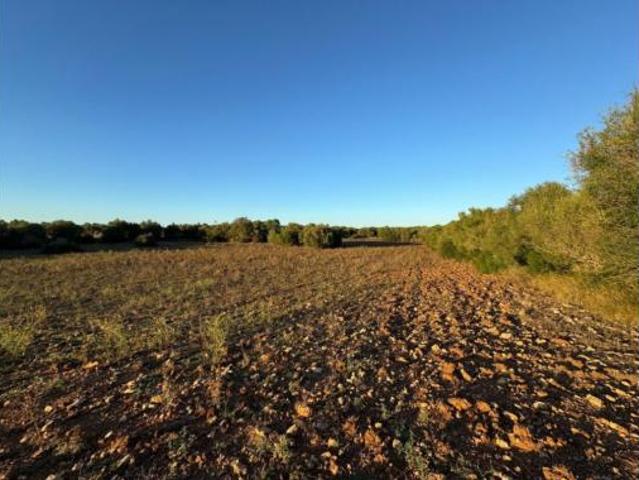 Terreno en venta en Vilafranca de Bonany, Illes Balears