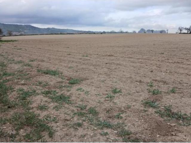 Terreno en venta en Vilafranca de Bonany, Illes Balears