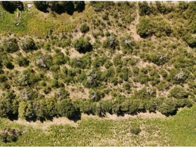 Terreno en venta en Vilafranca de Bonany, Illes Balears