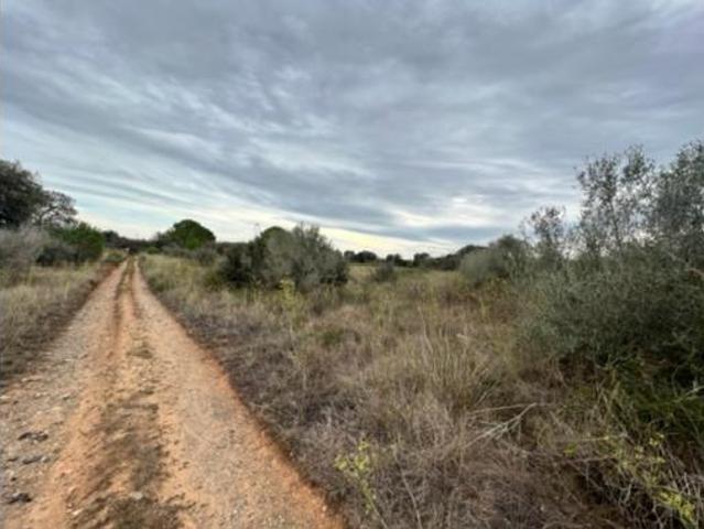 Terreno en venta en Vilallonga del Camp, Tarragona