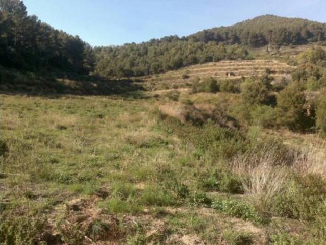 Terreno en venta en Vilaplana, Tarragona