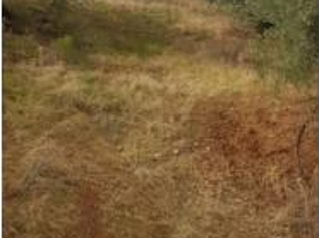 Terreno en venta en Villacarrillo, Jaén